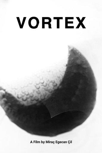 Vortex (2024) poster