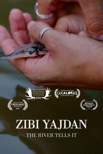 Zibi Yajdan (2020) poster