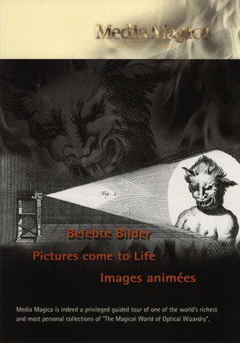 Pictures Come to Life (1996) poster