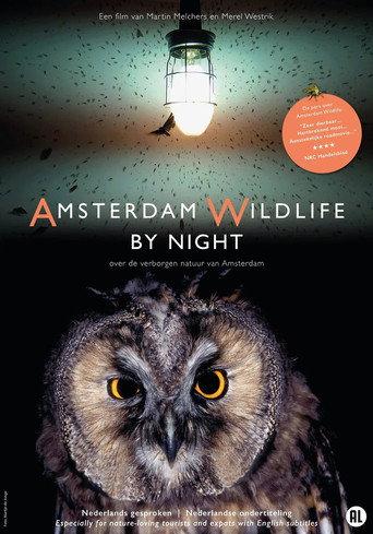Amsterdam Wildlife by Night (2026) poster