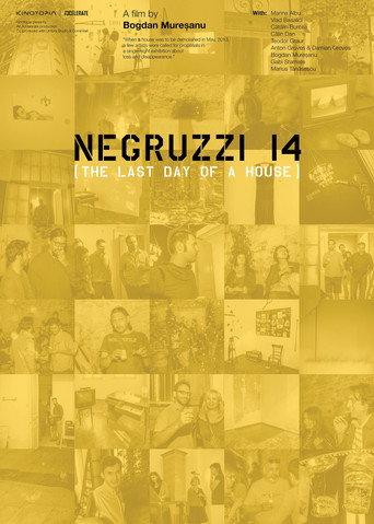 Negruzzi 14 (2016) poster