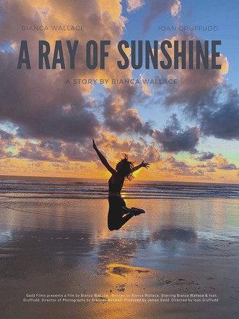 A Ray of Sunshine () poster