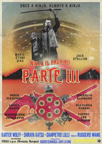Il rombo di un pugno...Un calcio volante...Attento gringo! Ninja il Padrino - parte III è in città! (2026) poster