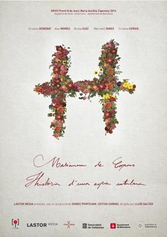 H (2014) poster