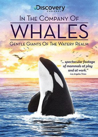 In the Company of Whales (1992) poster