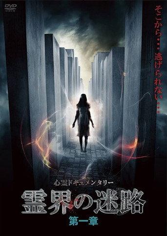 The Labyrinth of the Spirit World: Chapter 1 (2022) poster