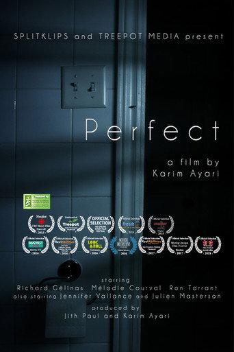 Perfect (2013) poster