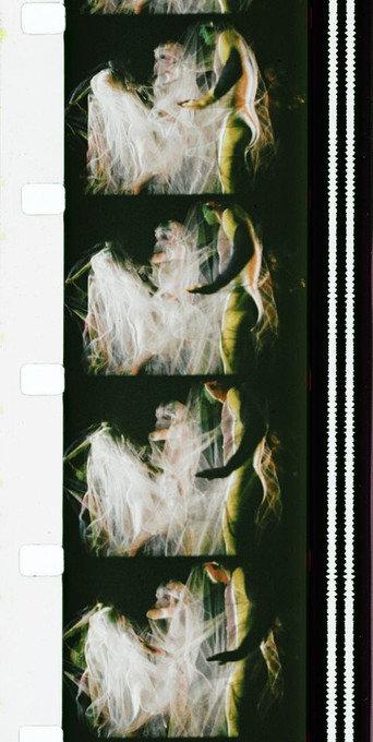 Chrysalis (1973) poster