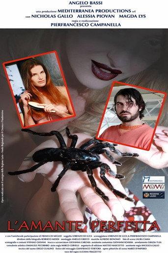 L'amante perfetta (2017) poster