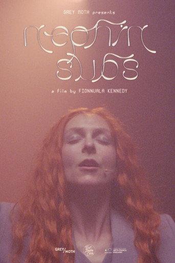 Nephin Subs () poster