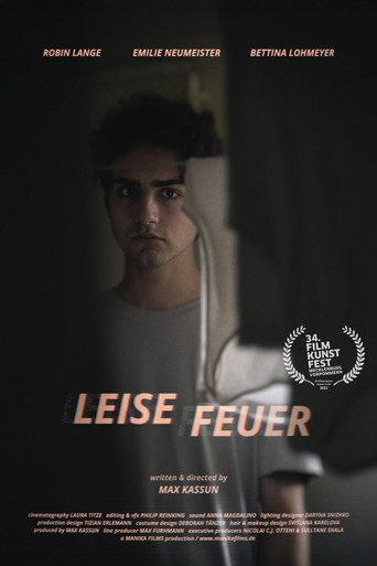 Quiet Fires (2025) poster