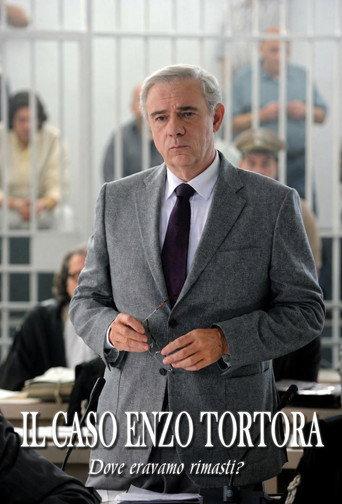 Il caso Enzo Tortora: Dove eravamo rimasti? (2012) poster