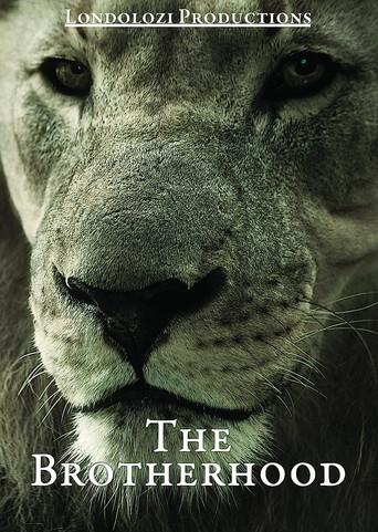 The Brotherhood (2000) poster
