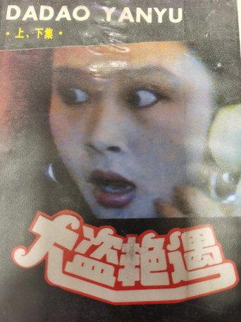 The Thief Encounter (1988) poster