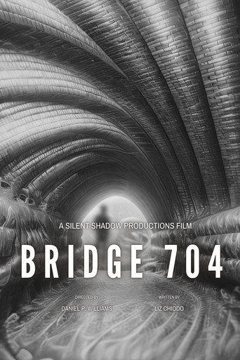 Bridge 704 (2026) poster