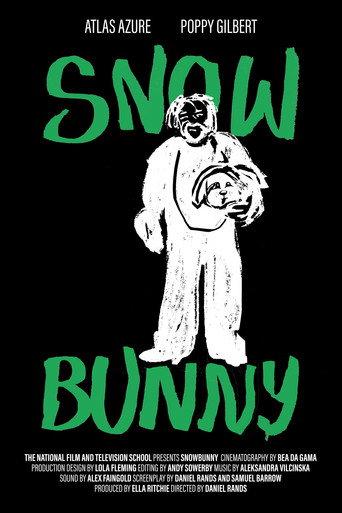 Snowbunny () poster