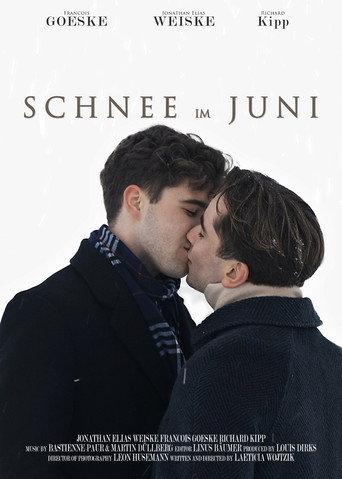Schnee im Juni () poster