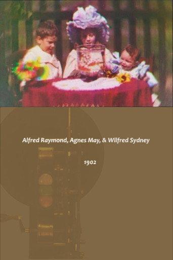 Alfred Raymond, Agnes May, & Wilfred Sydney (1902) poster