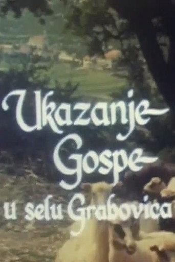 Sighting of the Holy Mother in the Village of Grabovica (1985) poster