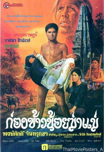 ก่องข้าวน้อยฆ่าแม่ (1980) poster