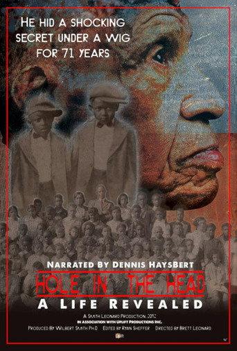 Hole in the Head: A Life Revealed (2025) poster