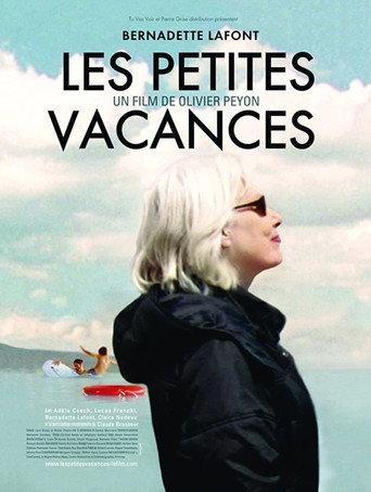 Stolen Holidays (2007) poster