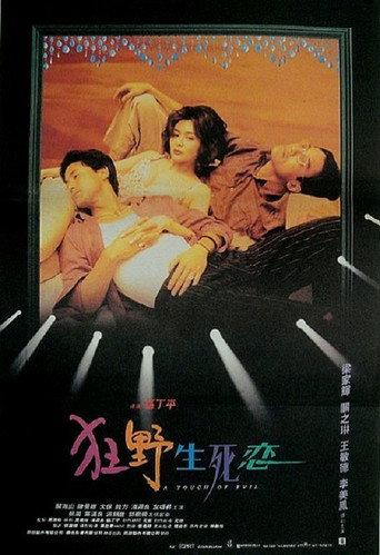 A Touch of Evil (1995) poster