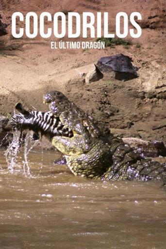 Crocodiles, the last dragon (2010) poster