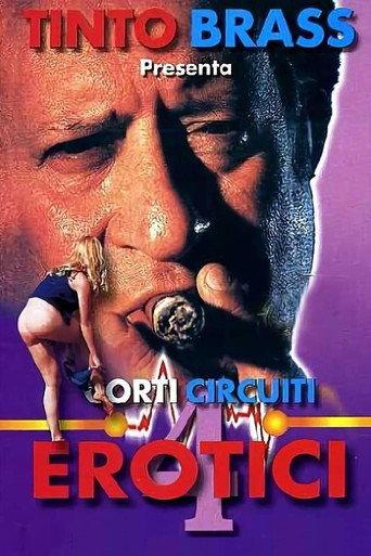 Corti circuiti erotici Vol.4 (1998) poster