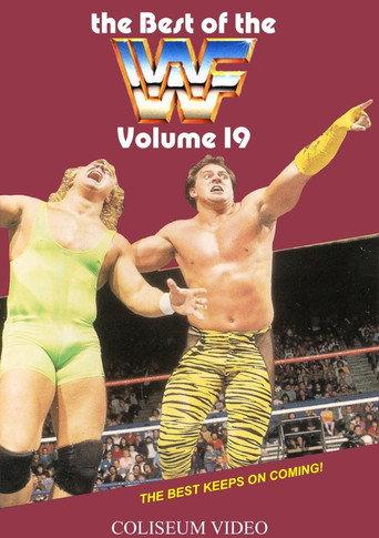The Best of the WWF: volume 19 (1989) poster