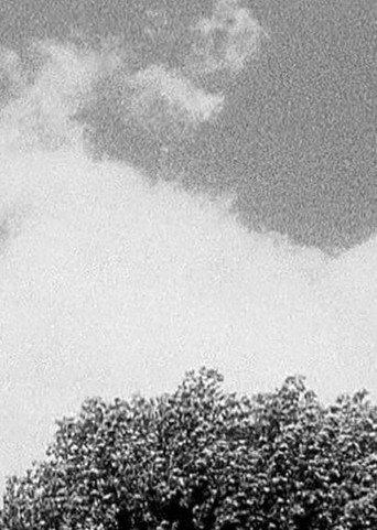 Tree & Cloud (1998) poster