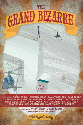 The Grand Bizarre (2011) poster