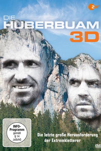 Pushing the Limit (2011) poster