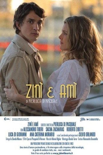 Zinì e Amì (2012) poster