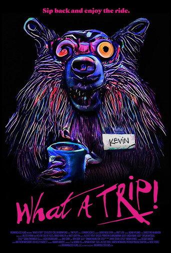 What a Trip! () poster