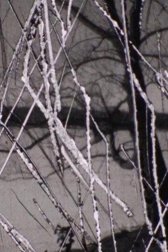 Snow (2010) poster