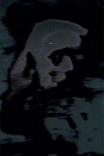 Pictures of the Lost (1978) poster