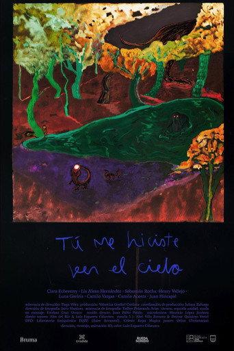 You Made Me See the Sky (2023) poster