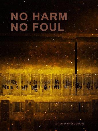 No Harm No Foul (2017) poster