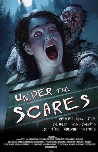 Under the Scares (2010) poster