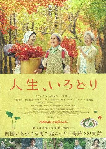 It's a Beautiful Life - Irodori (2012) poster