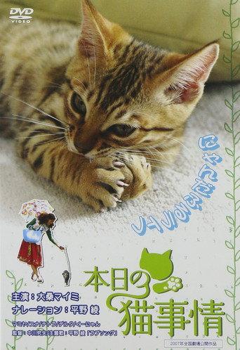 Honjitsu no neko jijô (2007) poster