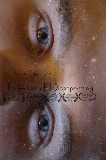 The Fear of Disappearing () poster