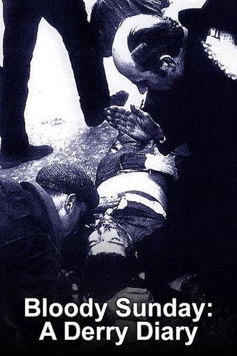 Bloody Sunday: A Derry Diary (2010) poster