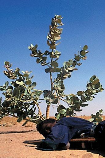 Tchissète, The Mirror of the Tuareg (2004) poster