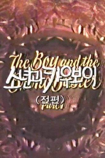 The Boy and the Bronc Buster (1973) poster
