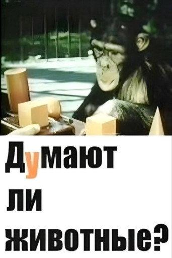 Do Animals Think? (1970) poster