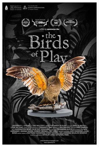 The Birds of Play (2019) poster