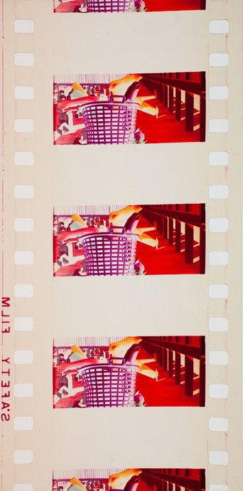 Model (1974) poster