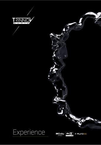 Experience (2025) poster